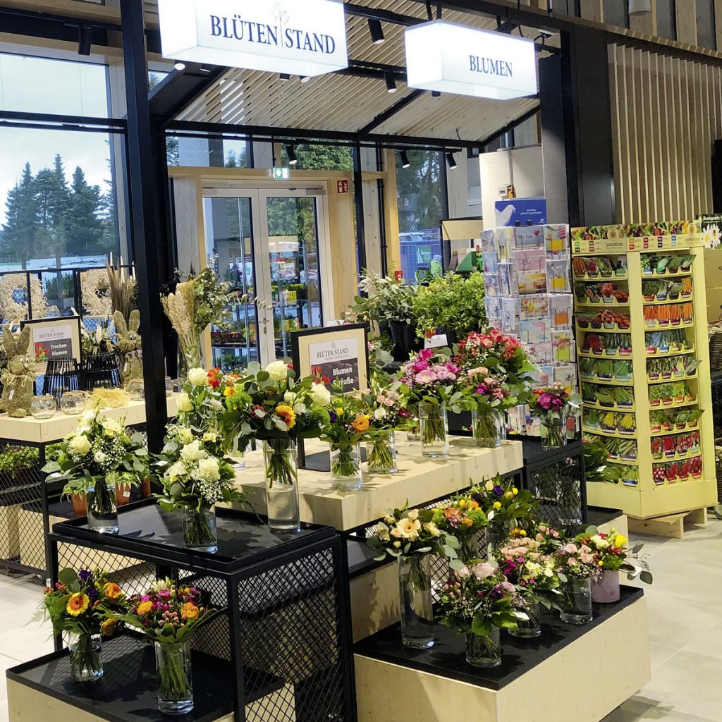 Blütenstand Filiale Foto Harpstedt