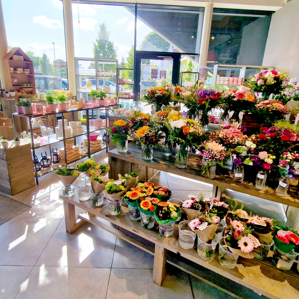 Blütenstand Filiale Foto Oldenburger Straße Delmenhorst